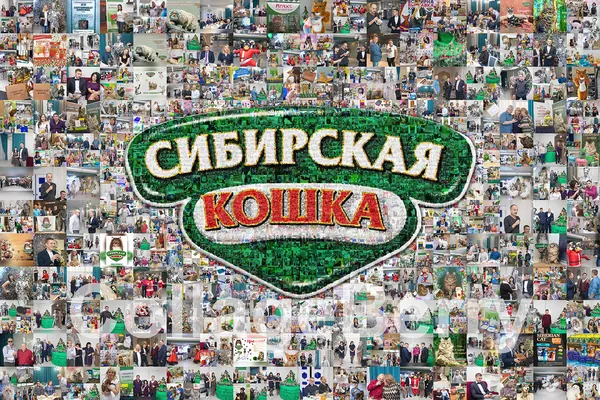 Логотип или символ