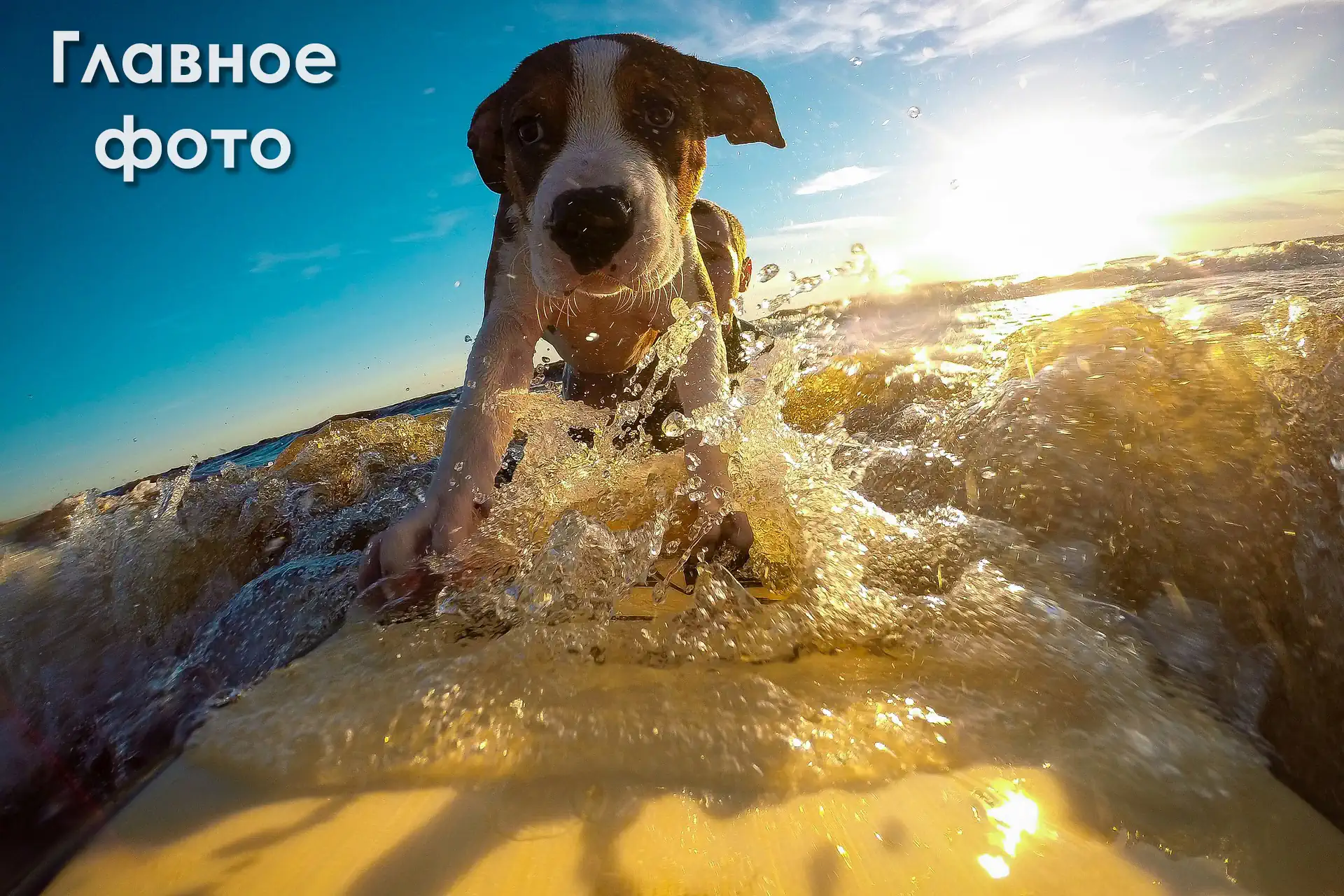 До создания фотомозаики